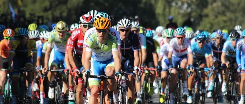 Group of pro cyclists