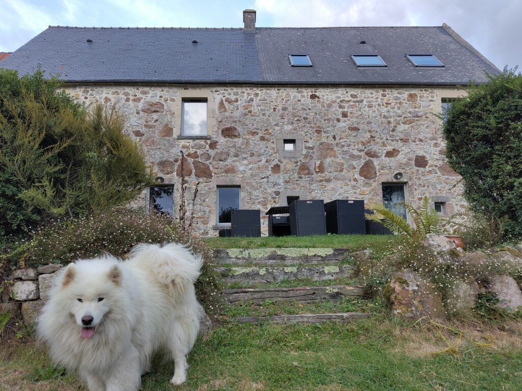 Snow the dog, below the terrace